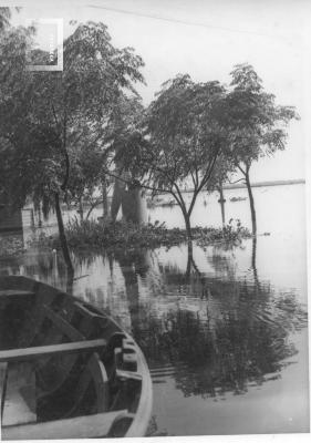 Monumento a Del pozo, semicubierto por las aguas