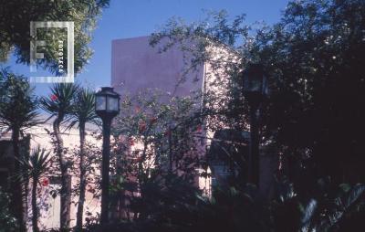 Museo Municipal. Jardín