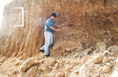 Museo de Ciencias Naturales //Padre Antonio Scasso//. Hallazgo de restos fósiles de un gliptodonte. Javier Tisera (foto tomada poco después del descubrimiento)