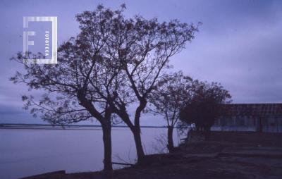 Ex zona Embarcaderos desde Falcón hacia Necochea, futuro Parque San Martín