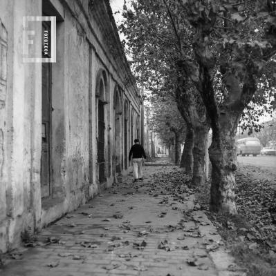 Casa av. Moreno casi Alberdi en otoño