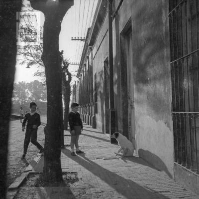Calle Colón, vereda edificios Puerto y Dirección de Granos, 1964