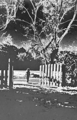 Foto ganadora del primer premio del Concurso Parque Avambae, 1968