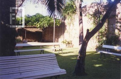 Jardín del Museo