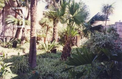 Jardín del Museo