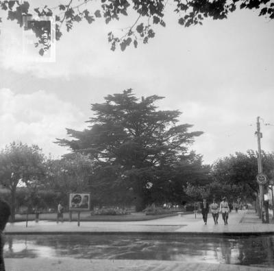 Vista plaza, durante viaje Grupo Arroyo del Medio a Mar del Plata, Recital en Club Atlético, 24 de febrero 1951
