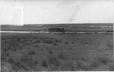 Circuito Parque Costanero, bañados, desde Prado Español