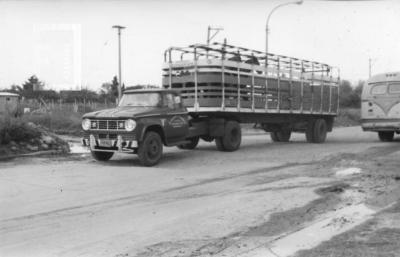Municipalidad. Rutas y caminos