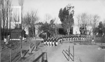 Escuela de Zapadores Pontoneros Z. P. 2. Servicio Militar clase 1917. Gimnasia